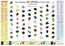 Die wichtigsten Heilsteine auf einen Blick - Michael Gienger - 9783890600871