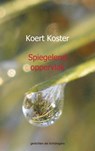 Spiegelend oppervlak - Koert Koster - 9789461935212