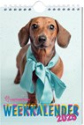 Rachael Hale weekkalender 2025 - Interstat - 9789464327335