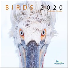 Birds maandkalender 2020, vogelbescherming
