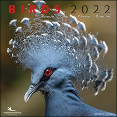 Birds maandkalender 2022, Vogelbescherming