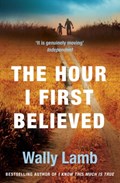 The Hour I First Believed | Wally Lamb | 