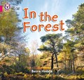 In the Forest | Becca Heddle | 