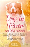 Dogs in Heaven: and Other Animals | Jacky Newcomb | 