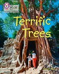 Terrific Trees | Sarah Rice | 