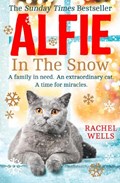 Alfie in the Snow | Rachel Wells | 