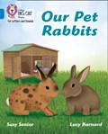 Our Pet Rabbits | Suzy Senior | 