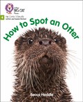 How to Spot an Otter | Becca Heddle | 