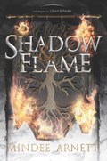 Shadow & Flame | Mindee Arnett | 