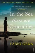 In the Sea There Are Crocodiles | Fabio Geda | 