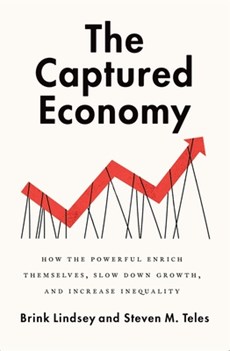 The Captured Economy