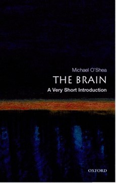 The Brain: A Very Short Introduction