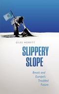 Slippery Slope | Secretary-generalof'FriendsofEurope'andEditorofEurope'sWorld)Merritt Giles(Secretary-generalof'FriendsofEurope'andEditorofEurope'sWorld | 