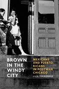 Brown in the Windy City | Lilia Fernandez | 