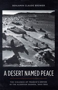 A Desert Named Peace