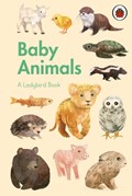 A Ladybird Book: Baby Animals | auteur onbekend | 