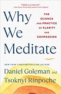 Why We Meditate | Daniel Goleman ; Tsoknyi Rinpoche | 