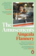 The Amusements | Aingeala Flannery | 