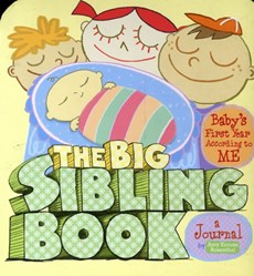 The Big Sibling Book