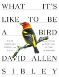 What It's Like to be a Bird | David Allen Sibley | 