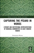 Capturing the Picaro in Words | TheNetherlands)Mierau Konstantin(UniversityofGroningen | 