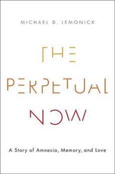 The Perpetual Now