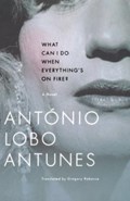 What Can I Do When Everything's on Fire? | Antonio Lobo | 