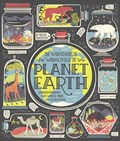 The Wondrous Workings of Planet Earth | Rachel Ignotofsky | 