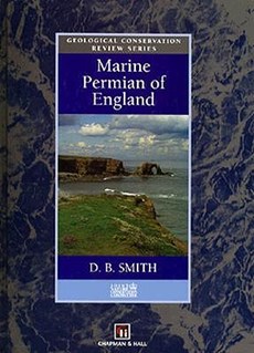 Marine Permian of England