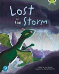 Bug Club Shared Reading: Lost in the Storm (Year 1) | Karl Newson | 