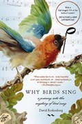 Why Birds Sing | David Rothenberg | 