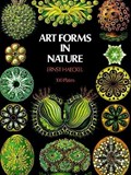 Art Forms in Nature | Ernst Haeckel | 