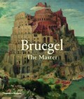 Bruegel: The Master | Manfred Sellink | 