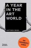 A Year in the Art World | Matthew Israel | 