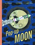 Pop-Up Moon | auteur onbekend | 