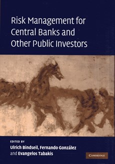 Risk Management for Central Banks and Other Public Investors