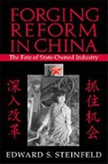 Forging Reform in China | Edward S. (Massachusetts Institute of Technology) Steinfeld | 