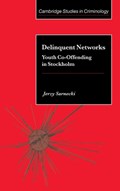 Delinquent Networks | Jerzy (Stockholms Universitet) Sarnecki | 