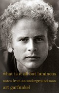 What Is It All but Luminous | Art Garfunkel | 