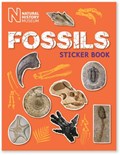 Fossils Sticker Book | Natural History Museum | 