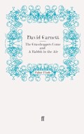 The Grasshoppers Come and A Rabbit in the Air | David Garnett | 