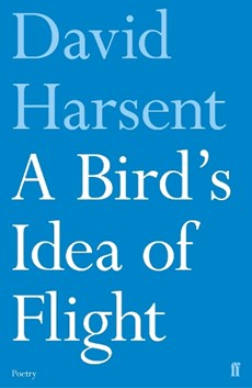 A Bird's Idea of Flight