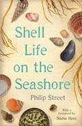Shell Life on the Seashore | Philip Street | 