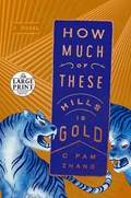 How Much of These Hills Is Gold | C Pam Zhang | 