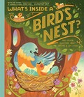 What's Inside A Bird's Nest? | Rachel Ignotofsky | 