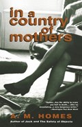 In a Country of Mothers | A. M. Homes | 