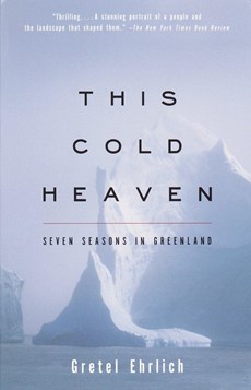 THIS COLD HEAVEN VINTAGE BOOKS