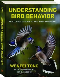 Understanding Bird Behavior