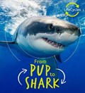 Lifecycles - Pup To Shark | Camilla De La Bedoyere | 
