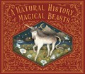 A Natural History of Magical Beasts | Emily Hawkins | 